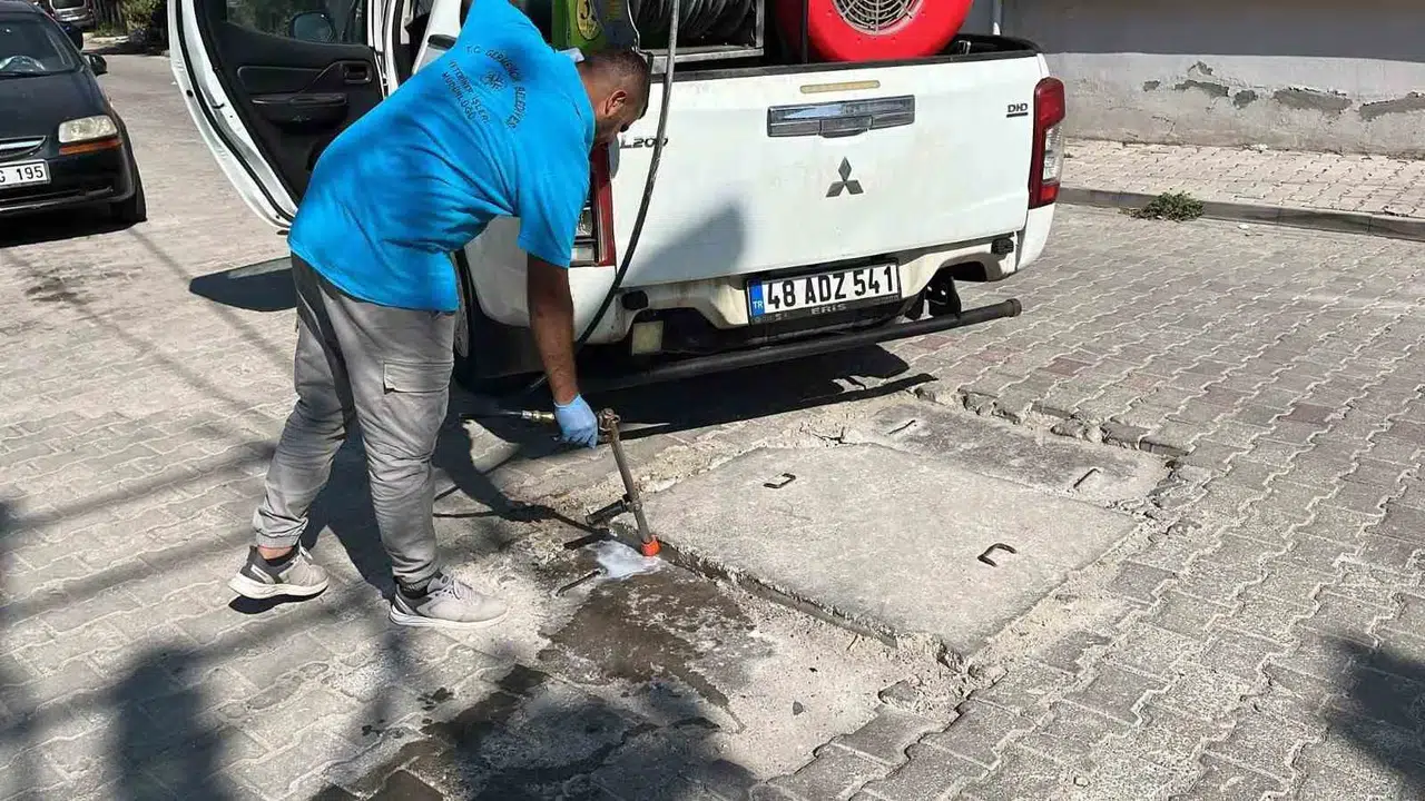 Germencik'te yaz aylarında haşere mesaisi: Ekipler sahada