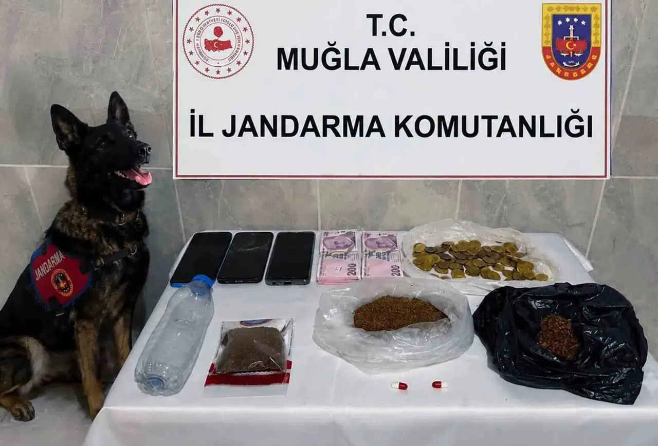 Muğla'da suç örgütlerine geçit yok: Bir ayda 24 operasyonla darbe vuruldu
