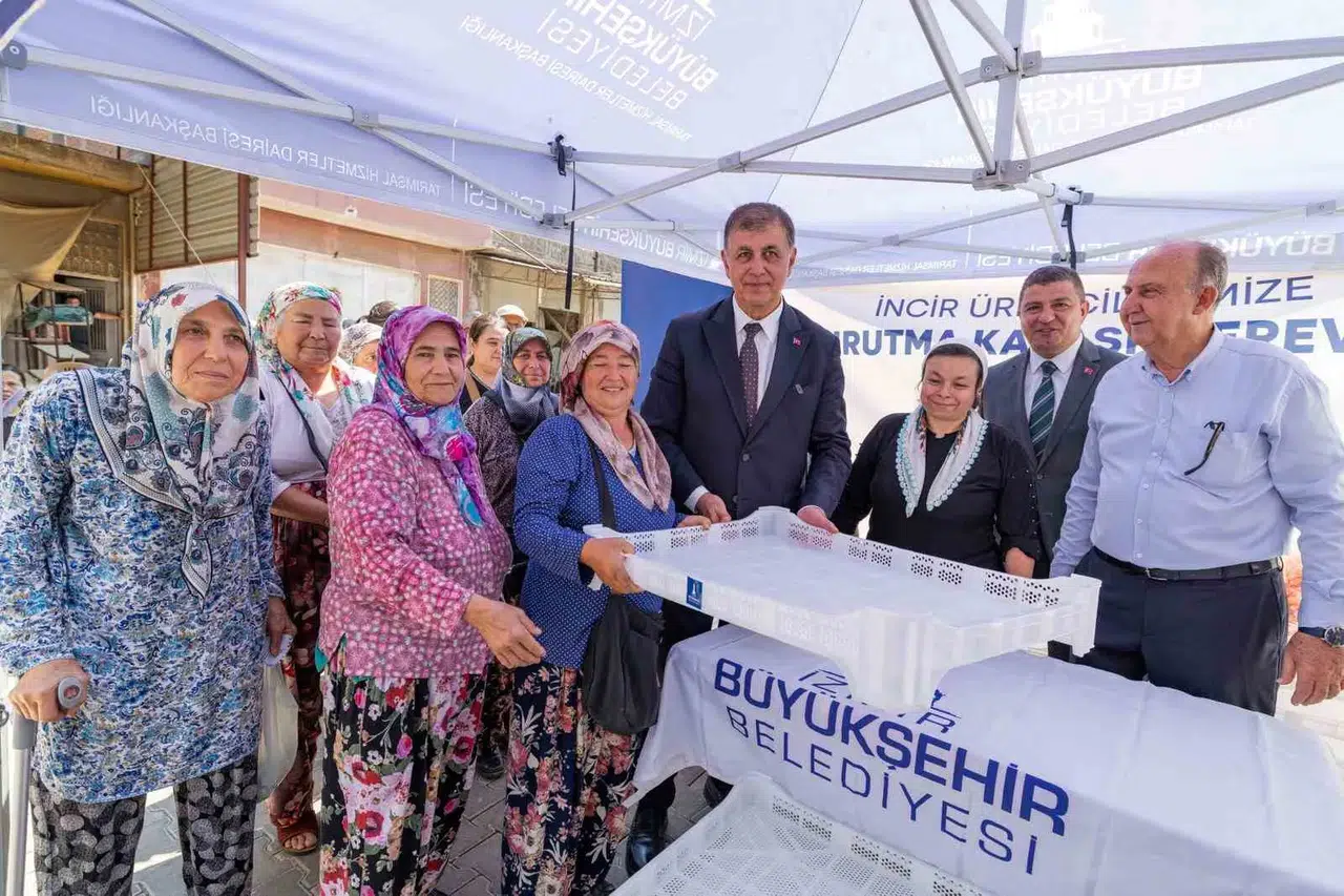 İzmir’in incirine büyükşehir dokunuşu: Hasatta kalite dönemi başlıyor