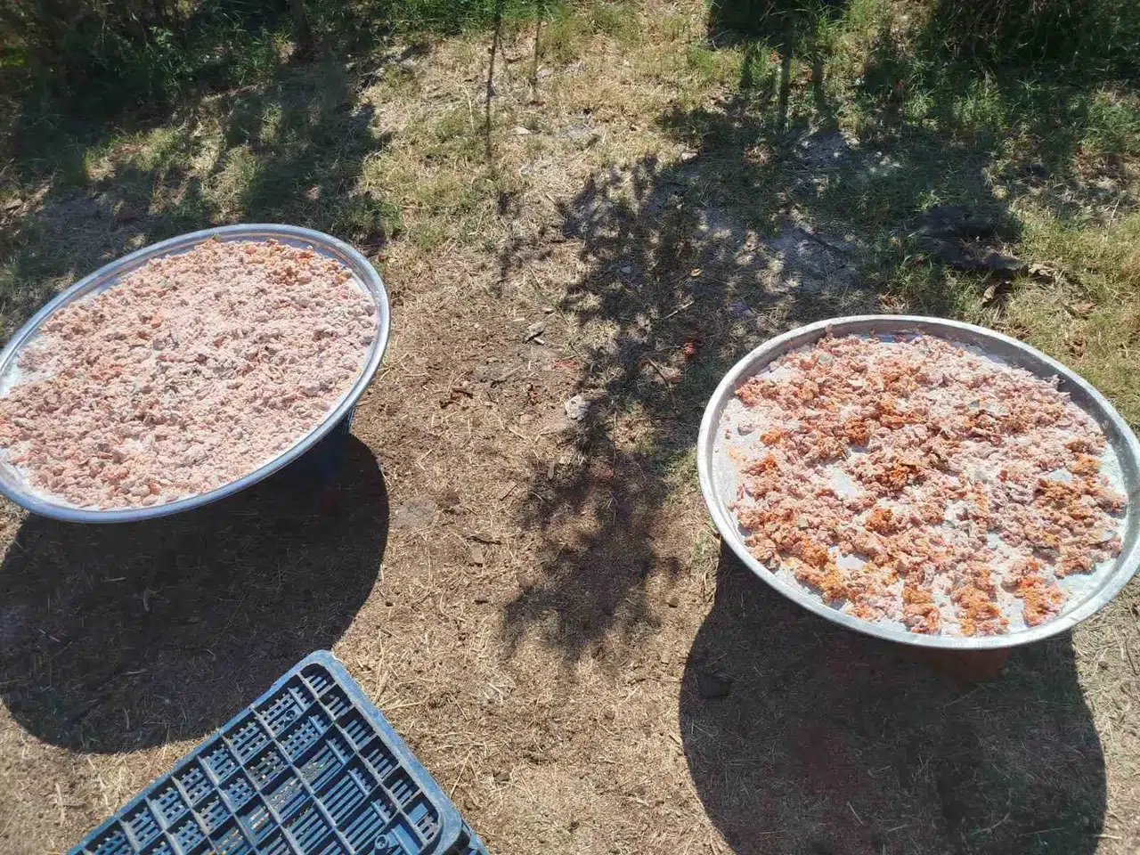 Köşk’te kış hazırlığı mesaisi: İmece usulü tarhana bereketi