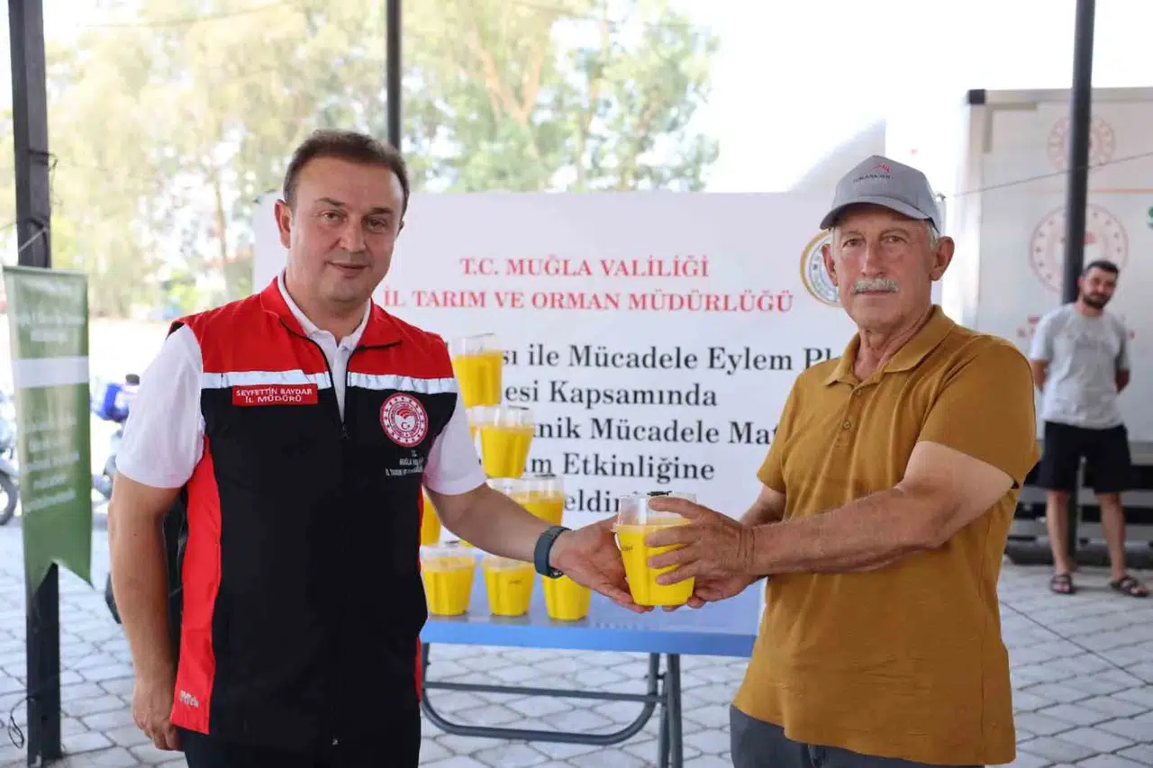 Muğla’da turunçgil üreticisine biyoteknik destek: 8 bin tuzak sahaya indi