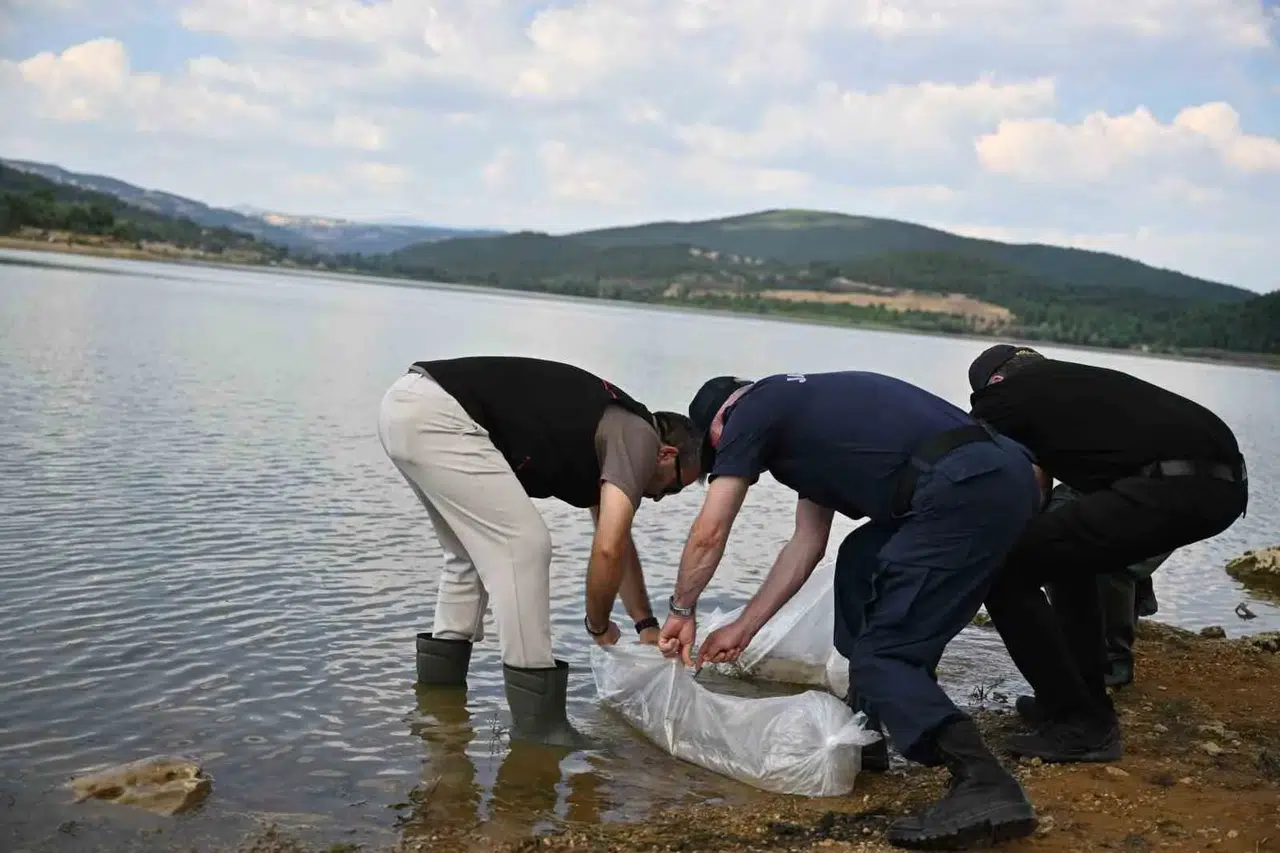 Uşak’ın göletleri 433 bin yeni misafirini ağırlıyor: Doğal yaşam için dev seferberlik