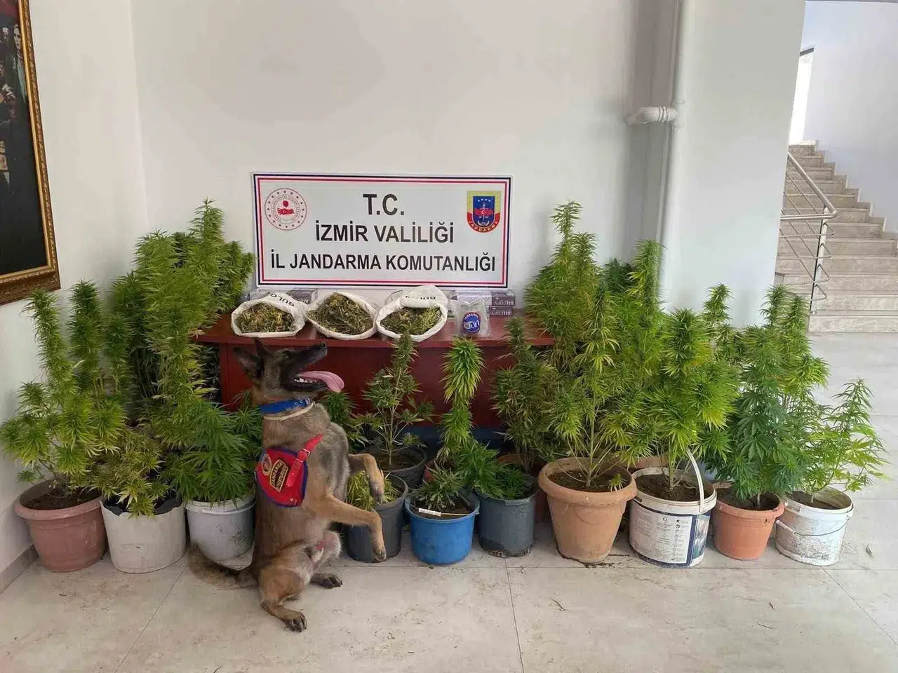 İzmir jandarmasından zehir tacirlerine ağır darbe: 3 kişi cezaevine gönderildi