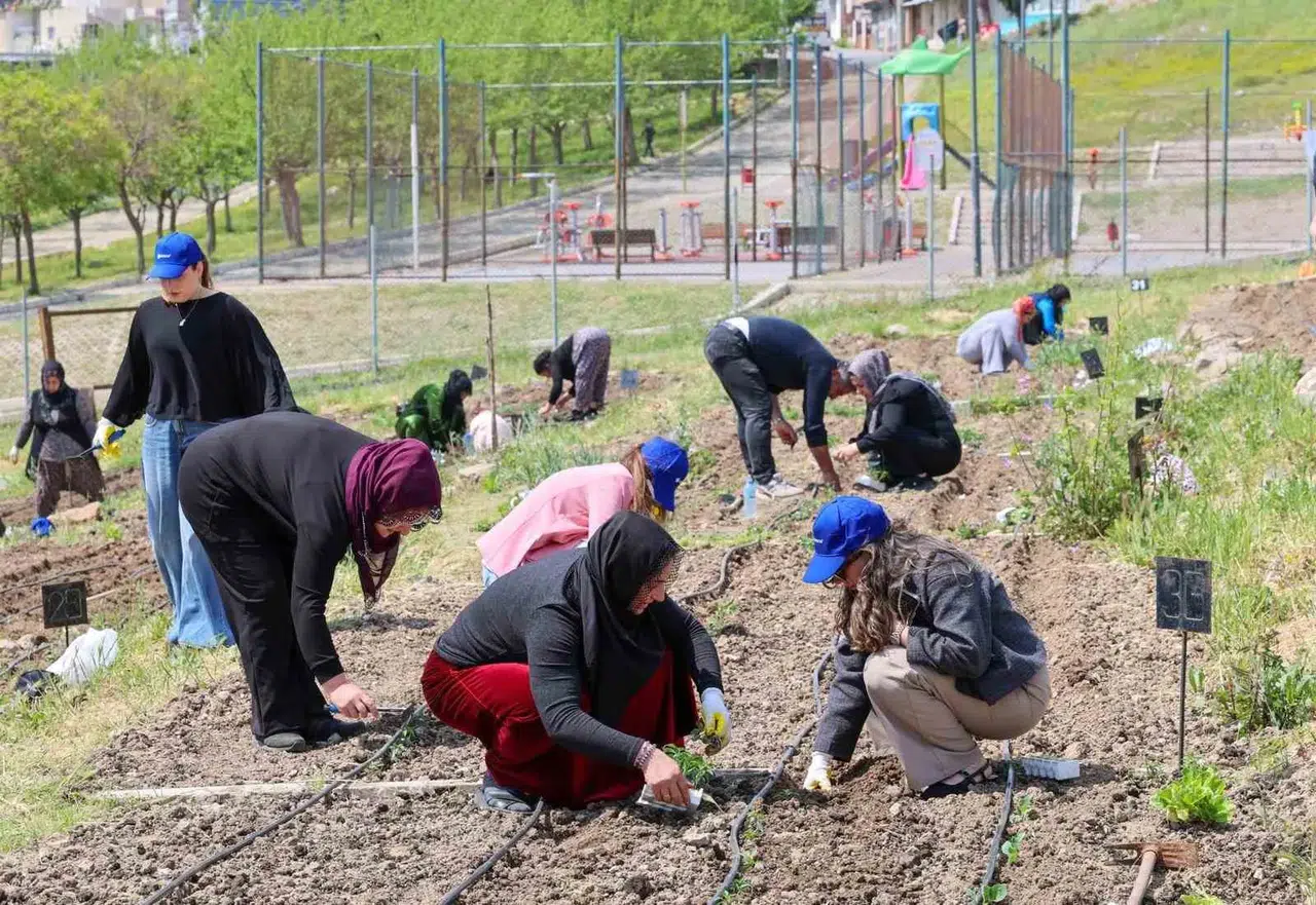 Beton binaların arasında yeşil mucize: İzmirli kadınlar toprağı berekete dönüştürüyor