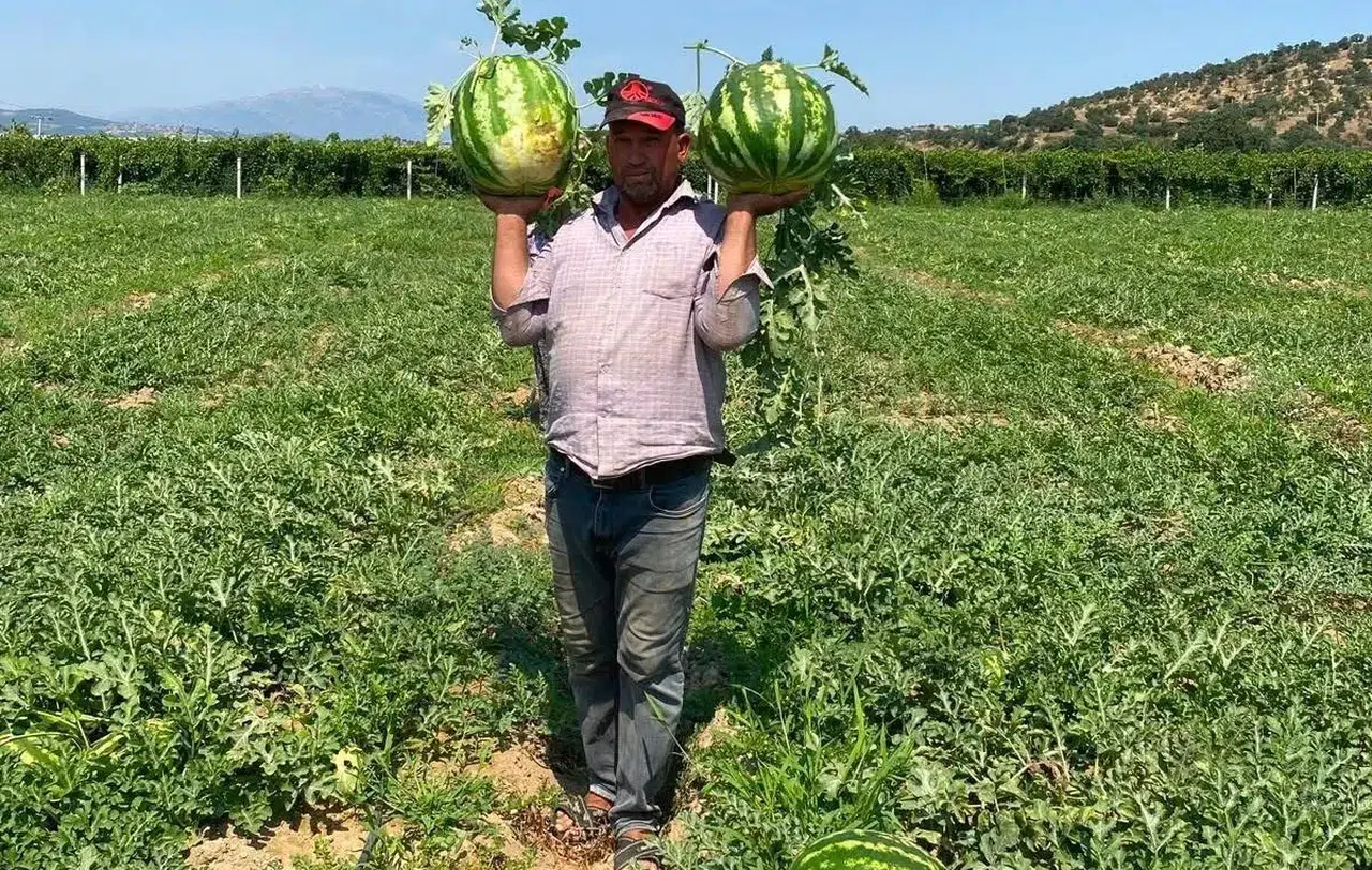 Tarlada emeği hiçe sayılan çiftçi çareyi direksiyonda buldu: Aracılara inat kendi pazarını kurdu