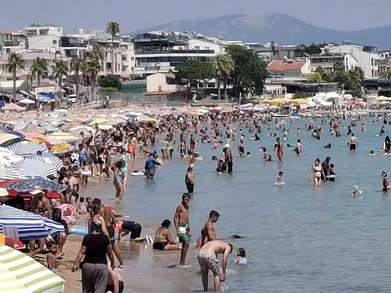 Didim'de yaz bitmiyor: Altınkum'da iğne atsan yere düşmüyor