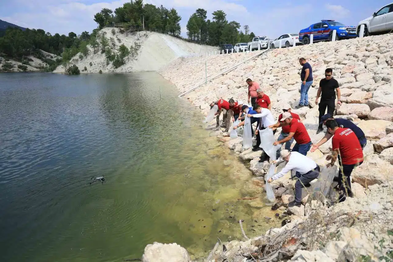 Denizli’nin göletlerinde devasa dönüşüm: 1,3 milyon balık suya bırakıldı