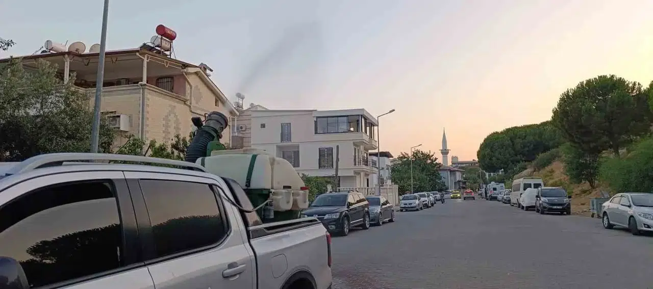 Didim’de yaz mesaisi: Belediye ekipleri haşerelere geçit vermiyor