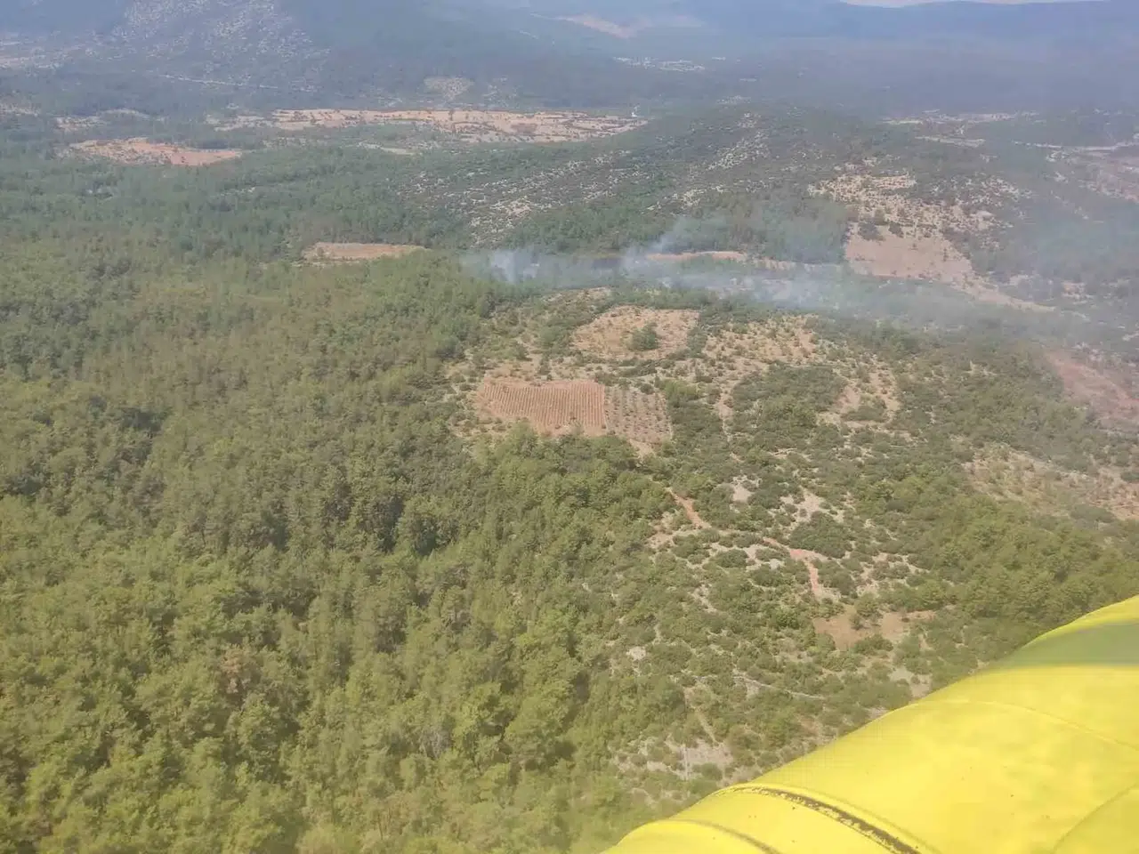 Menteşe'de ormanlık alanda korkutan yangın: Ekiplerin hızlı müdahalesi faciayı önledi