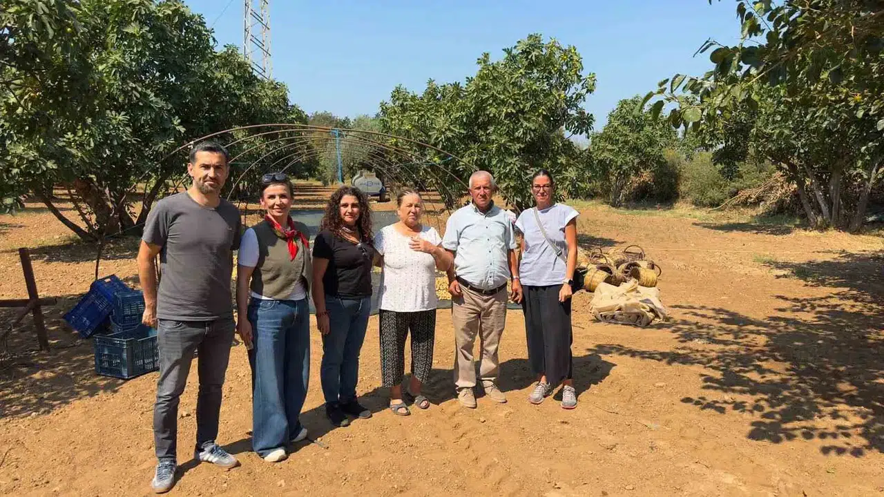 Aydın İnciri’nde kalite nöbeti: 2026 denetimleri tamamlandı