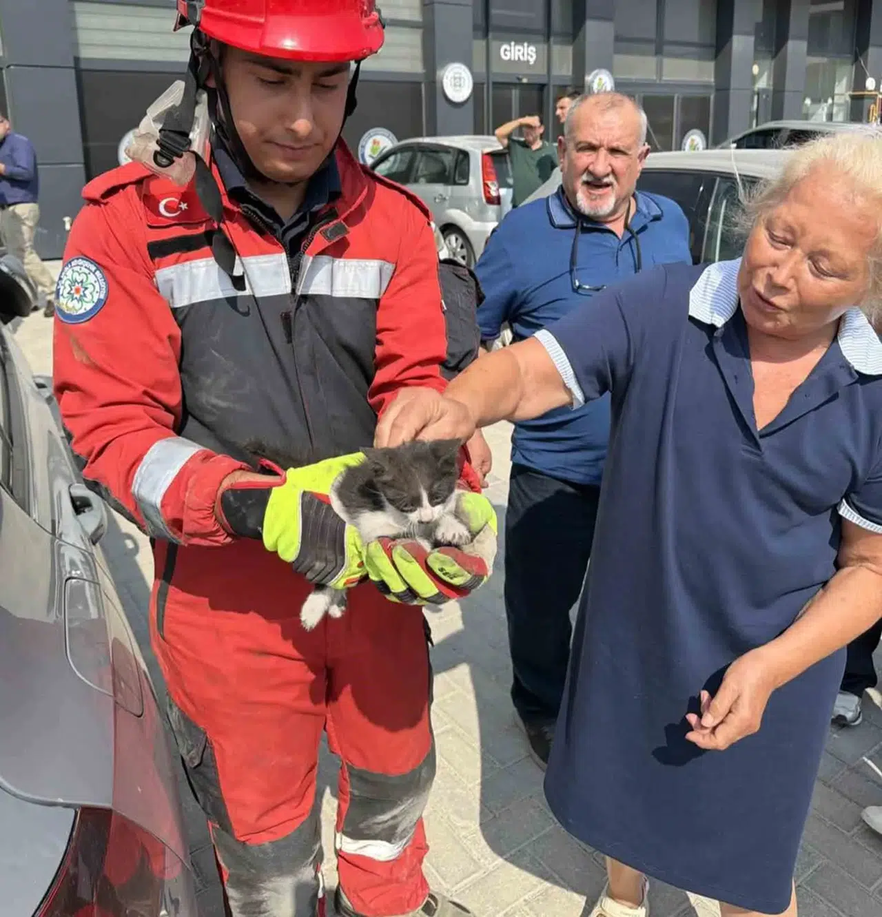 Menteşe'de yürekleri ağza getiren kedi kurtarma operasyonu