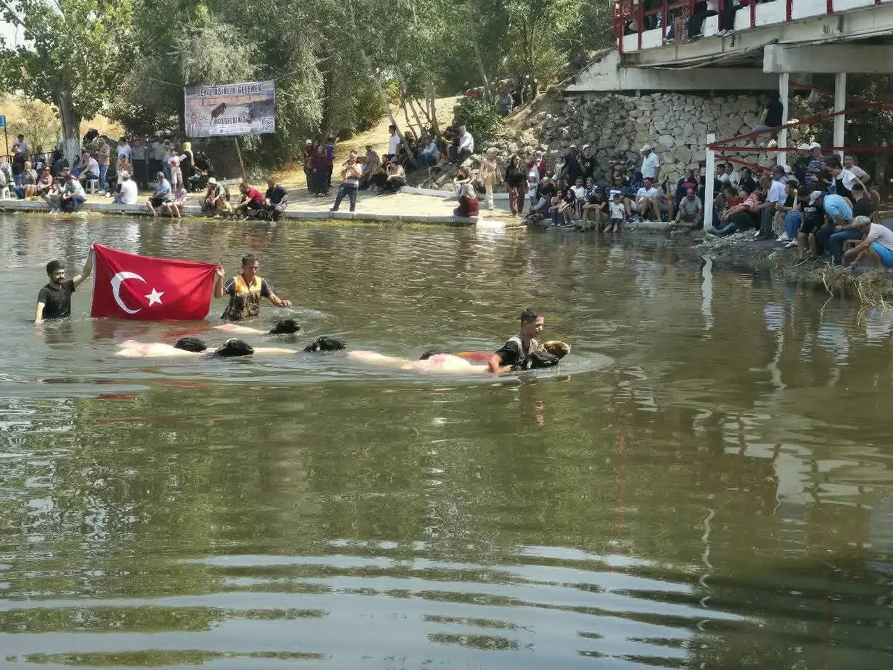 Çobanların Vefası: 853 Yıllık Gelenekte Altın Ödül Hastaya Umut Oldu