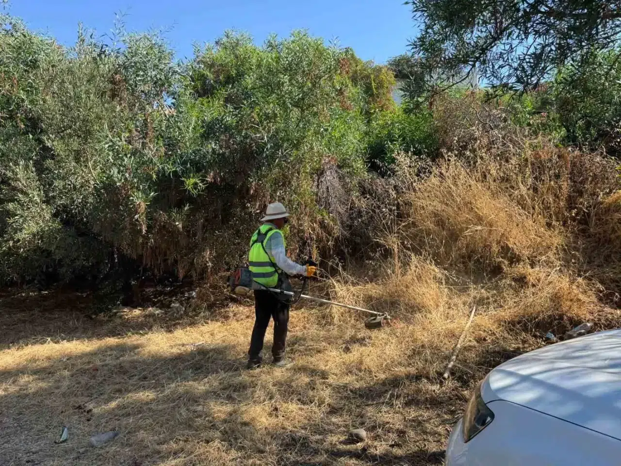 Bodrum'da yaz mesaisi: Yangın riskine karşı dev temizlik operasyonu