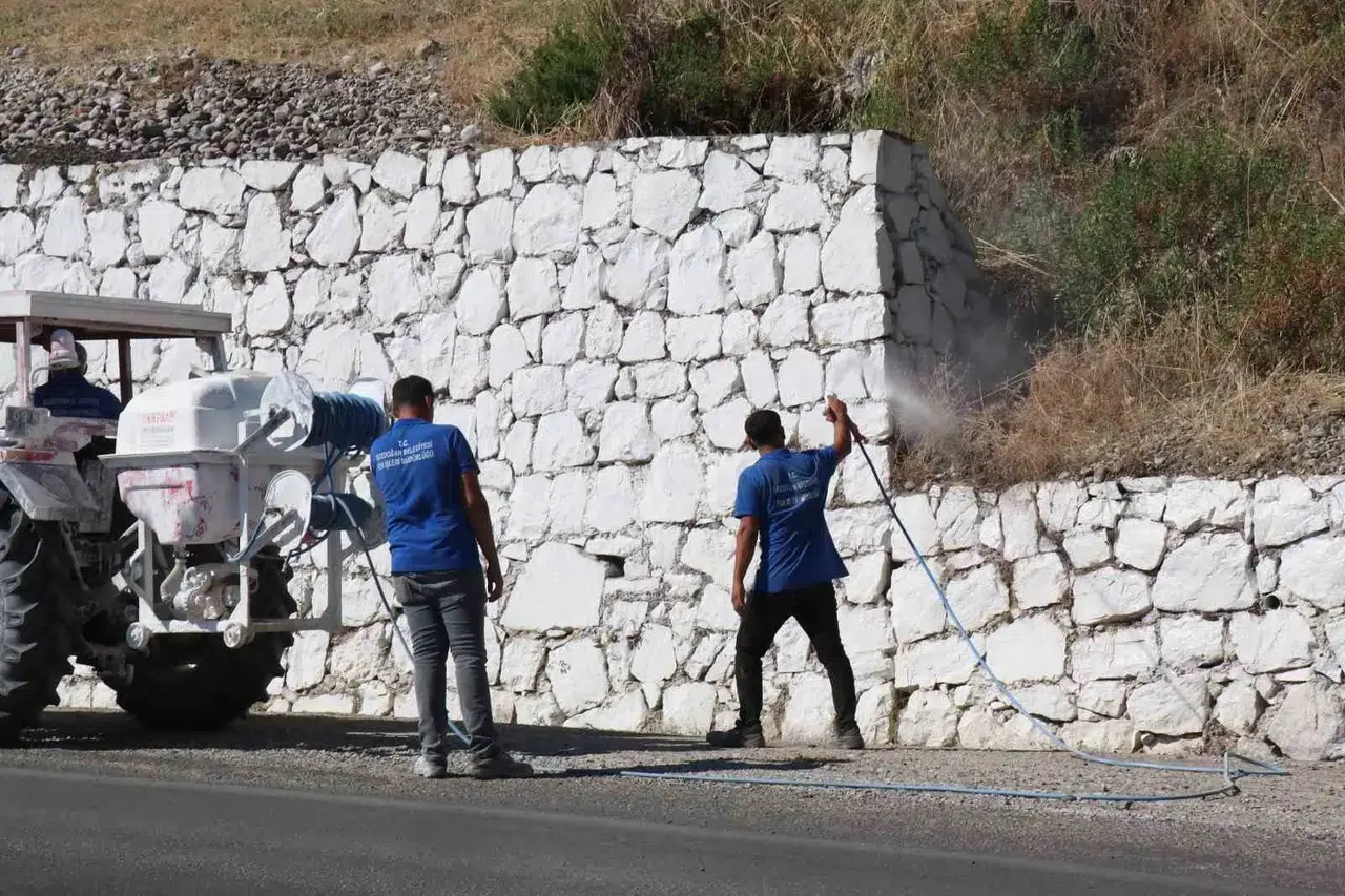 Bozdoğan’da çevre sağlığı seferberliği: Kırsaldan merkeze kireçleme çalışması