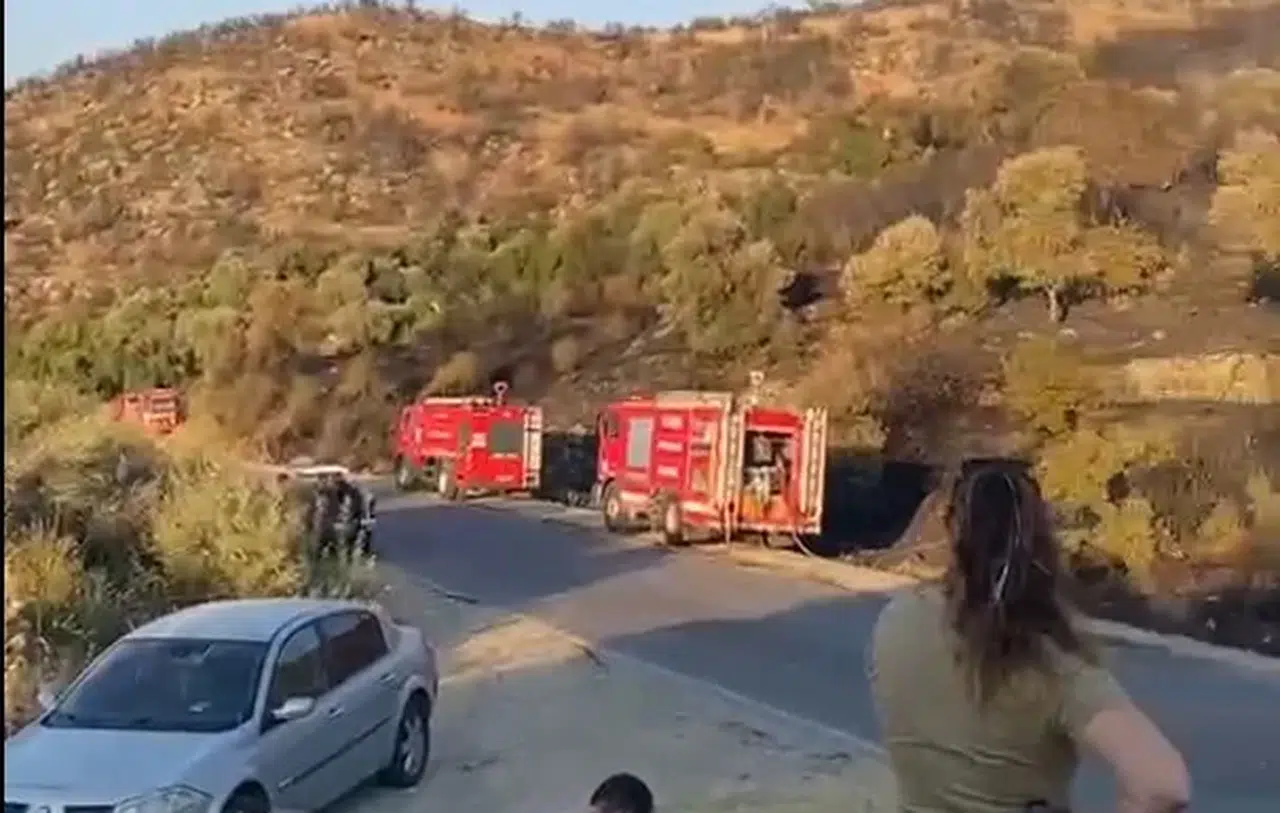 Söke’de Alevlere Havadan ve Karadan Müdahale: Yangın Büyümeden Söndürüldü