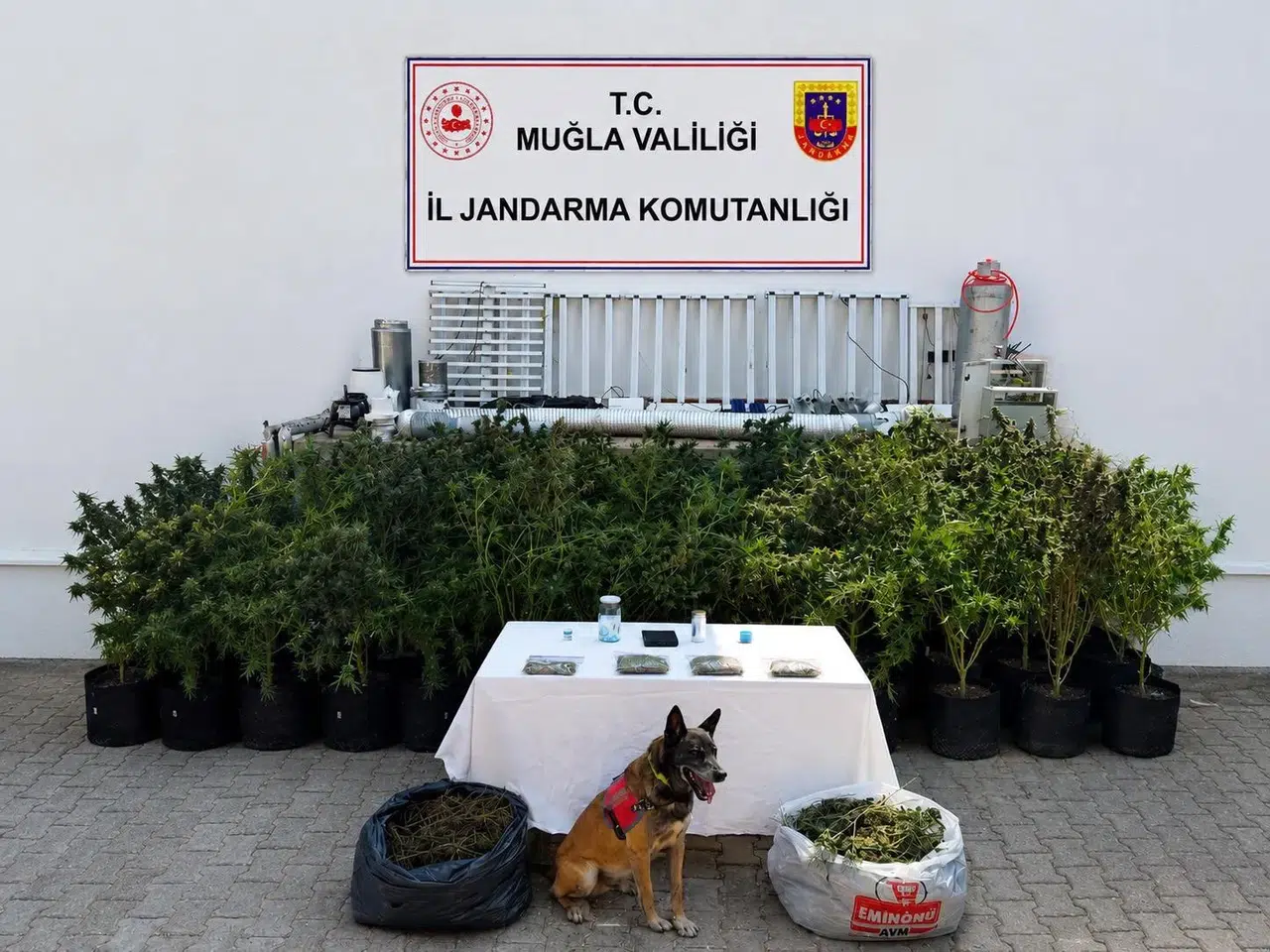 Bodrum'da zehir tacirlerine jandarma darbesi: Evini laboratuvara çevirmiş