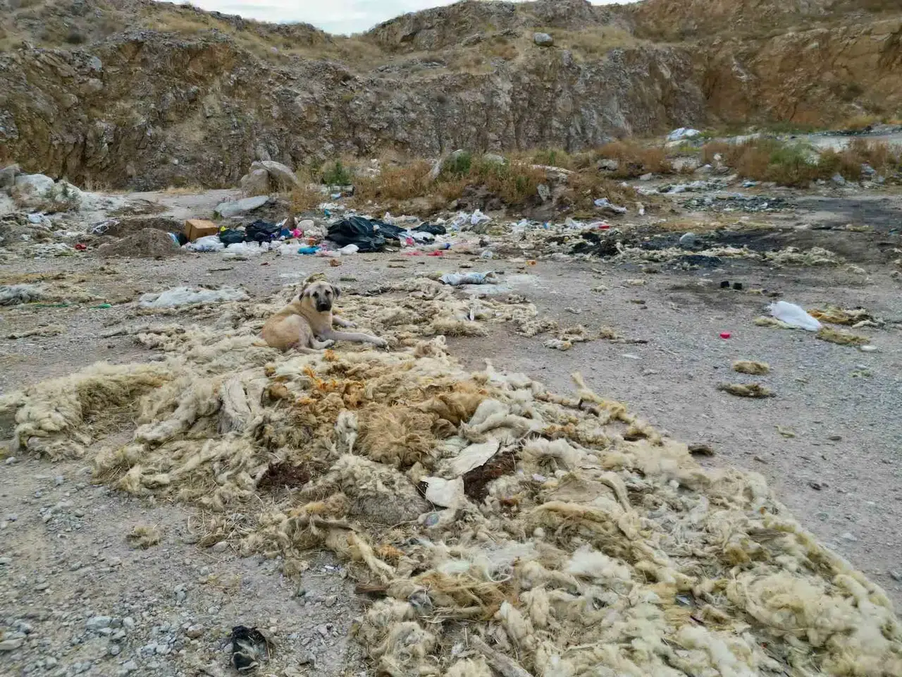 Bolvadin’de çevre skandalı: Eski kum ocağı vahşi depolama alanına döndü