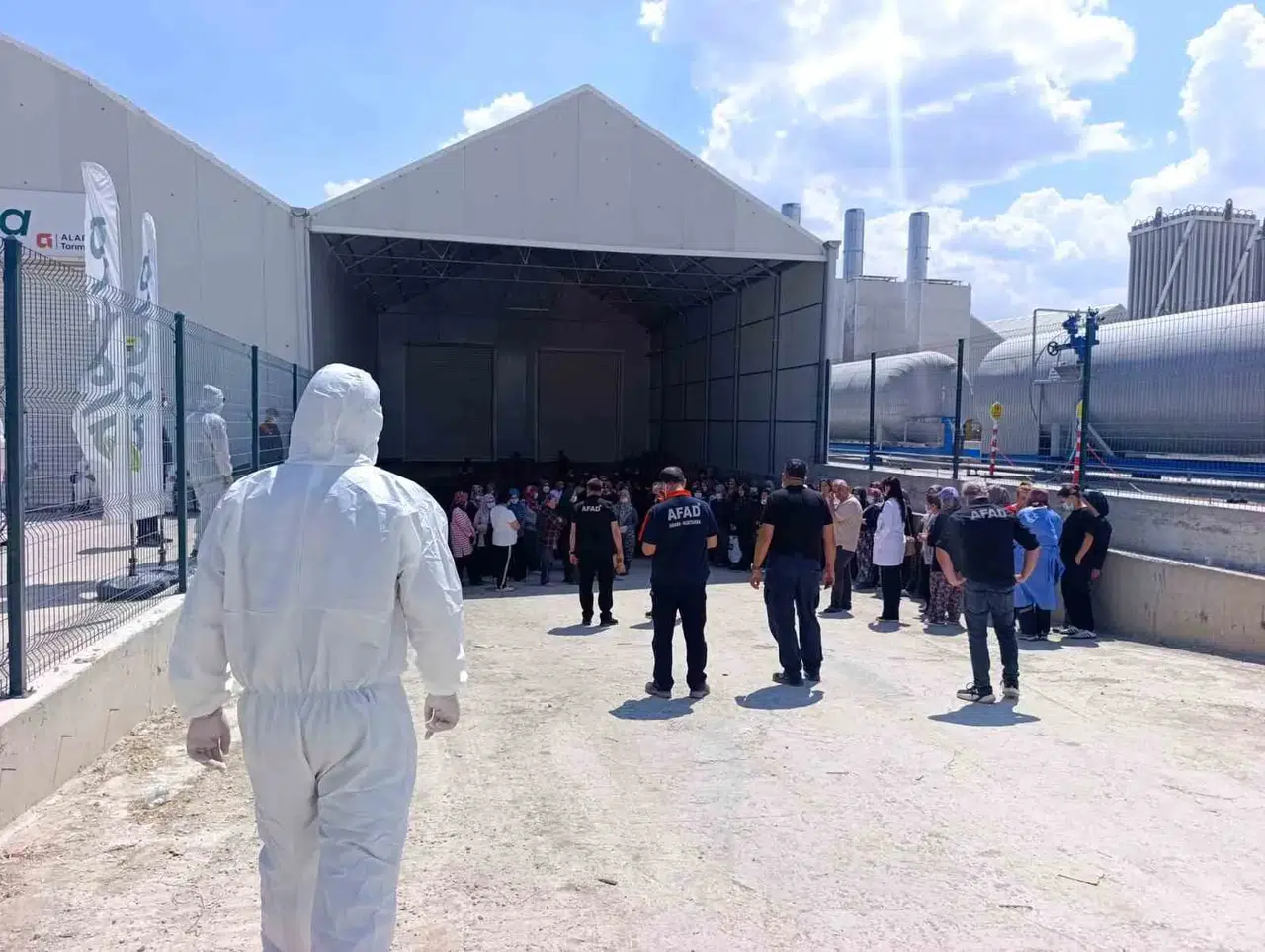 Domates serasında korku dolu anlar: İlaçlama sonrası onlarca işçi fenalaştı