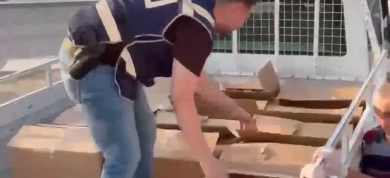 İzmir'de zehir tacirlerine ağır darbe: Milyonluk sevkiyata geçit verilmedi