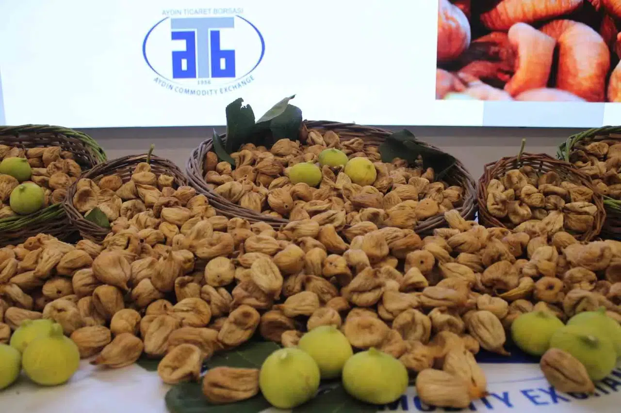 Aydın’da kuru incir sezonu açıldı: İlk hasat 850 TL’den borsada yerini aldı
