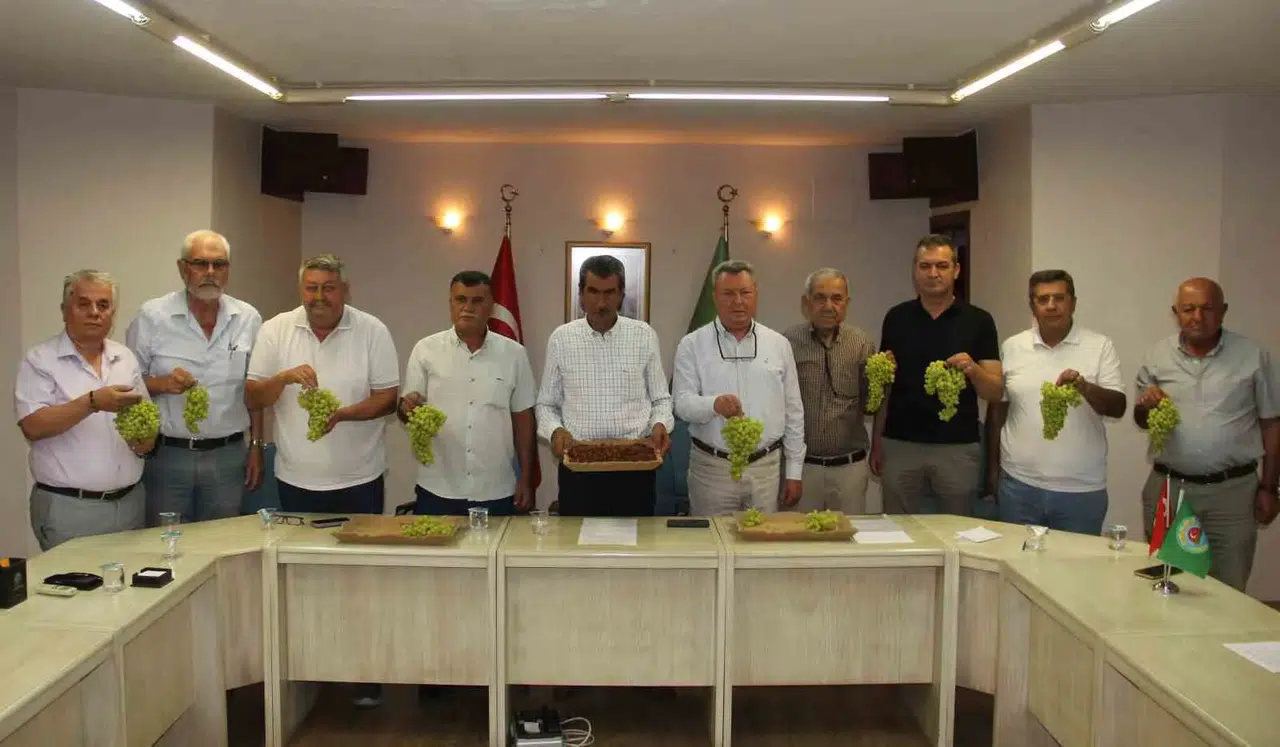 Manisa üzümünde hasat heyecanı: Çiftçi gözünü Ankara’dan gelecek müjdeye çevirdi