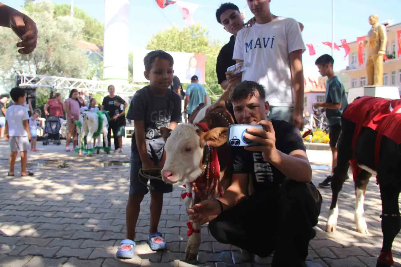 Yerkesik’te 38. Geleneksel Festivalde Minik Şampiyonlar Podyumda: Buzağı Güzellik Yarışması Büyük Beğeni Topladı