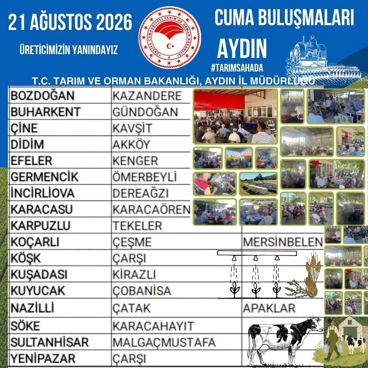 Aydınlı üretici tarlada buluşuyor: İncir hasadı öncesi kritik zirve