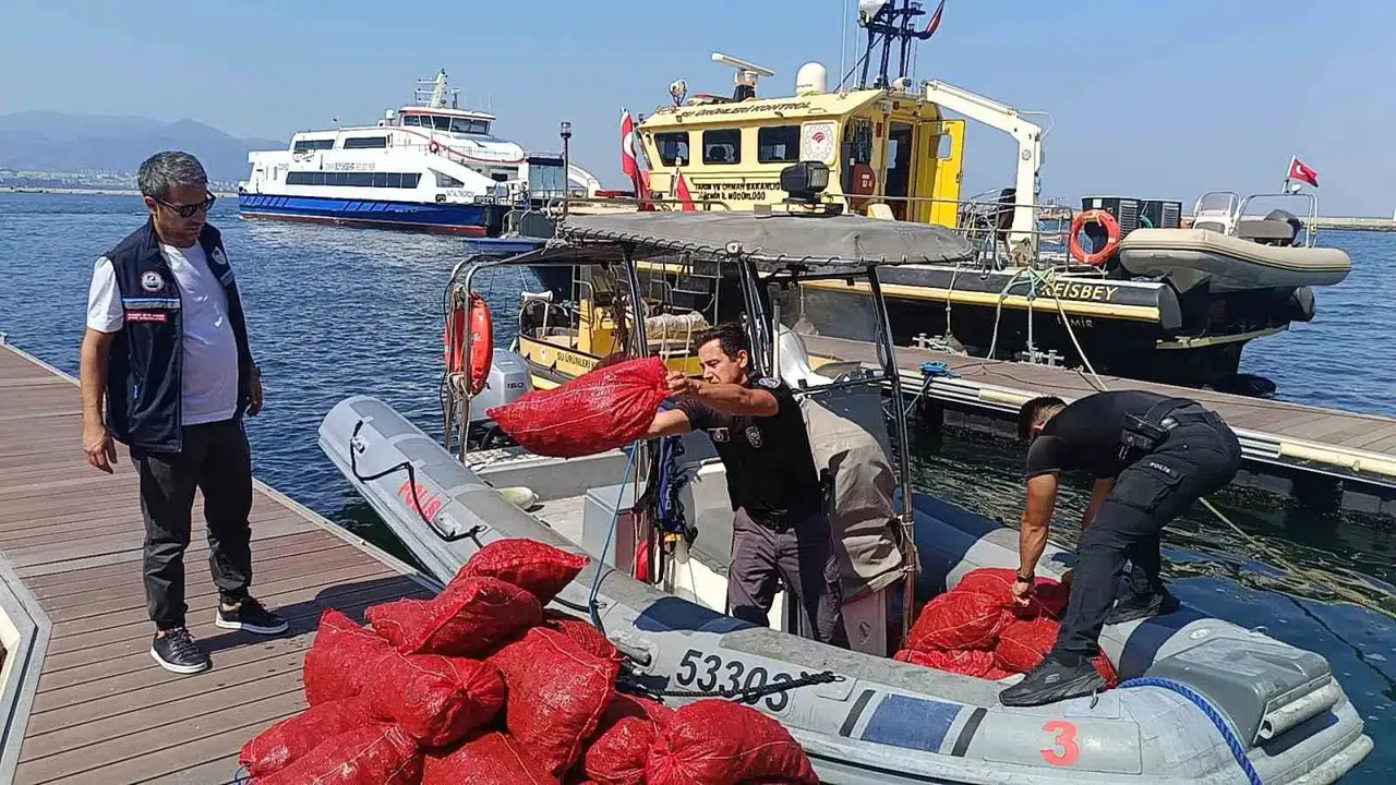 İnciraltı açıklarında kaçak avcılık operasyonu: Tonlarca midye yeniden sulara bırakıldı