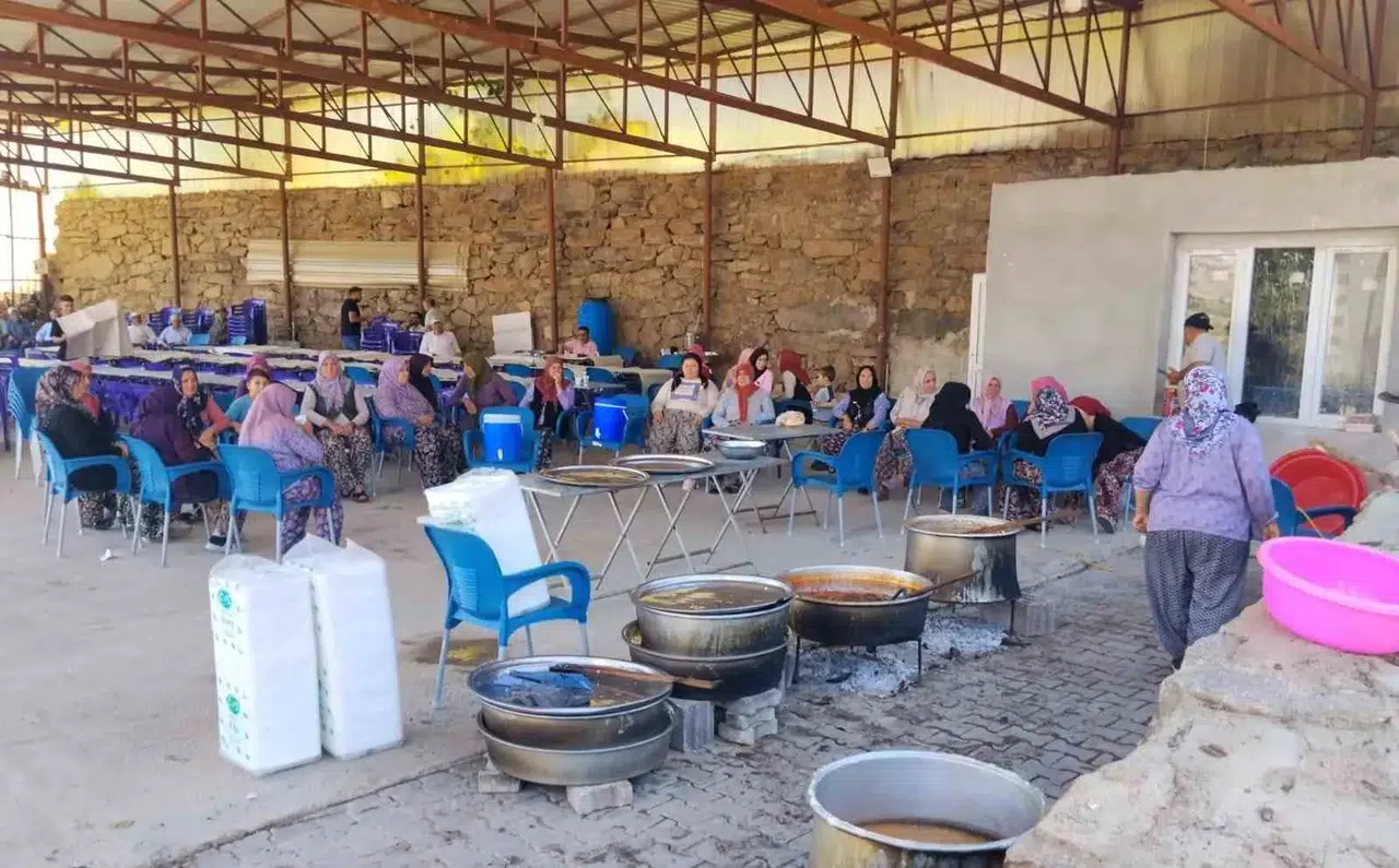 Manisa'da toprak suya hasret kaldı: Beyharmanı sakinleri semaya el açtı