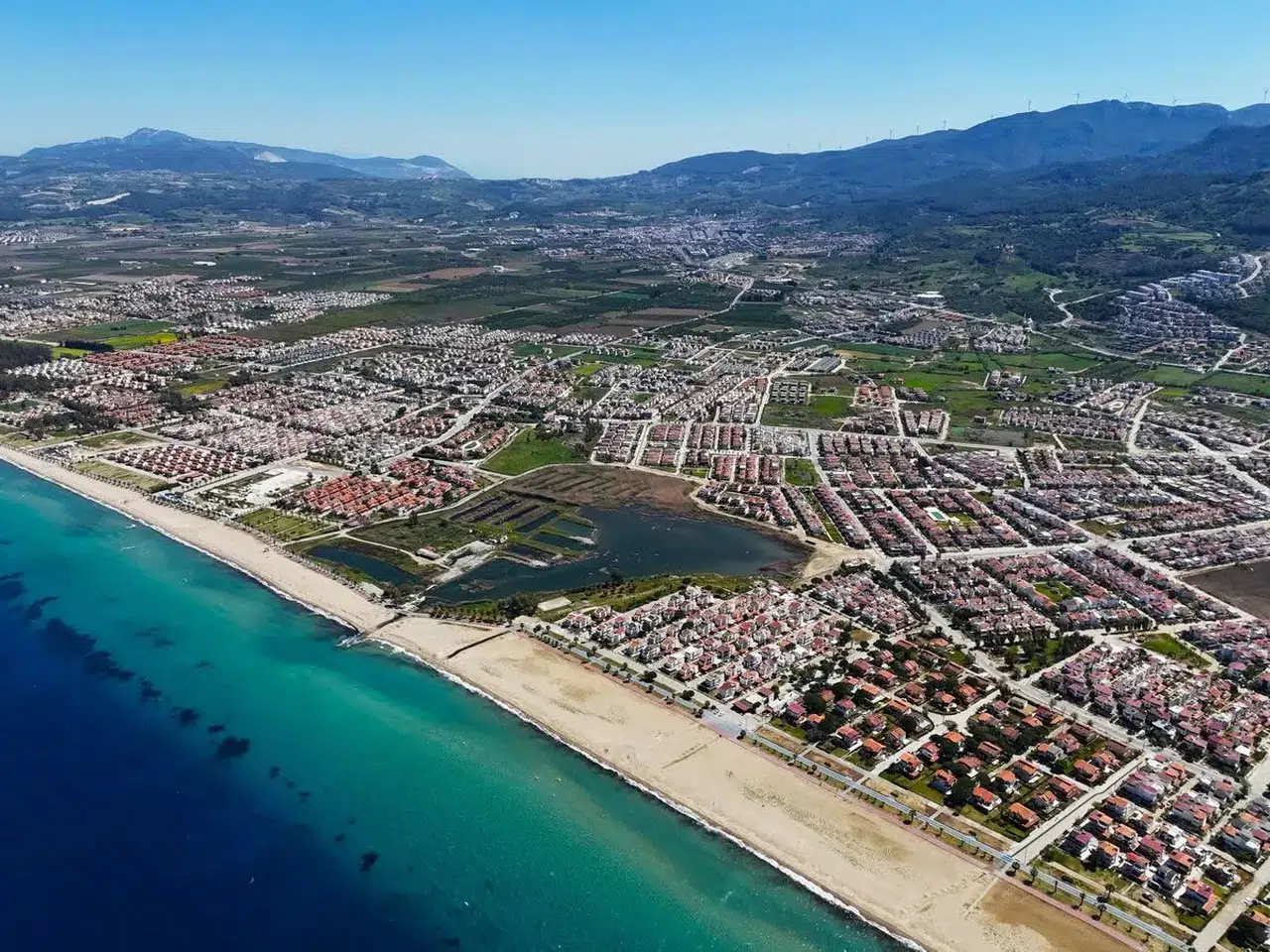 Kuşadası’nın gizli hazinesi can çekişiyor: Doğaseverlerden acil koruma çağrısı
