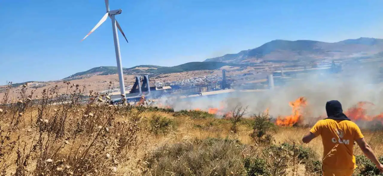 Aliağa’da Fabrika Bölgesinde Alev Alarmı: Otluk Alandaki Yangın Tesislere Sıçramadan Söndürüldü
