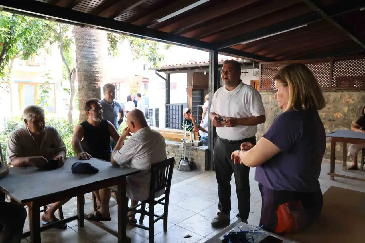 Bodrum mandalinasını koruma altına aldılar: Üreticiye biyoteknik destek