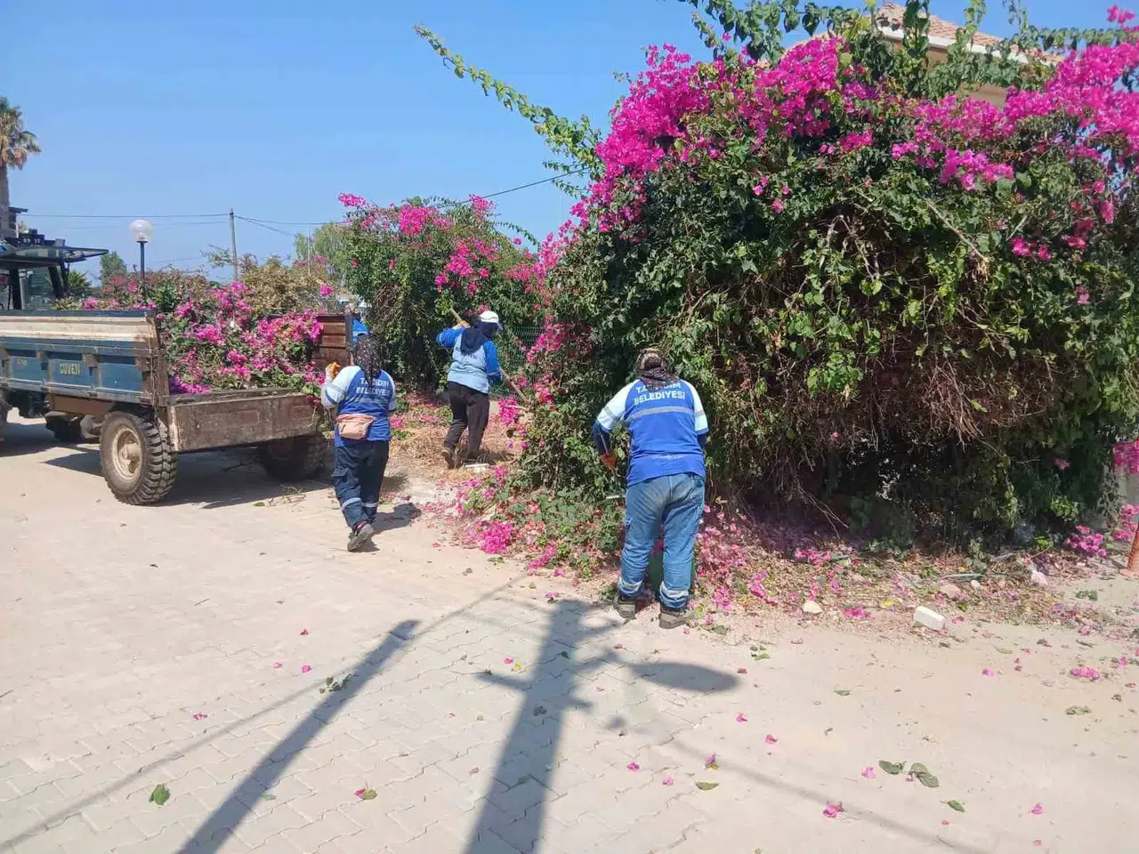 Didim’de estetik dokunuş: Belediye ekipleri dört bir koldan temizlik mesaisinde