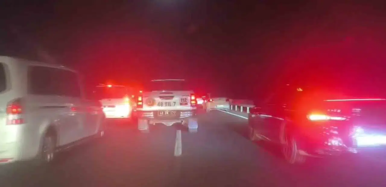 Köyceğiz'de Tanker Alevleri Ormanı Tehdit Etti: Yol 10 Kilometre Boyunca Kilitlendi