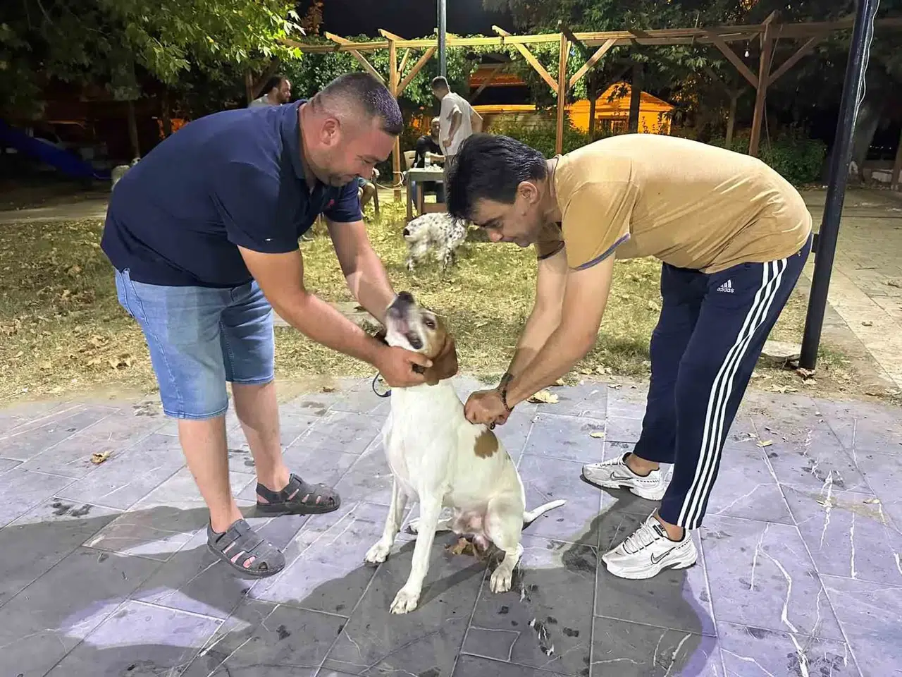 Sarıgöl'de avcılar harekete geçti: Dostlarımıza kuduz kalkanı