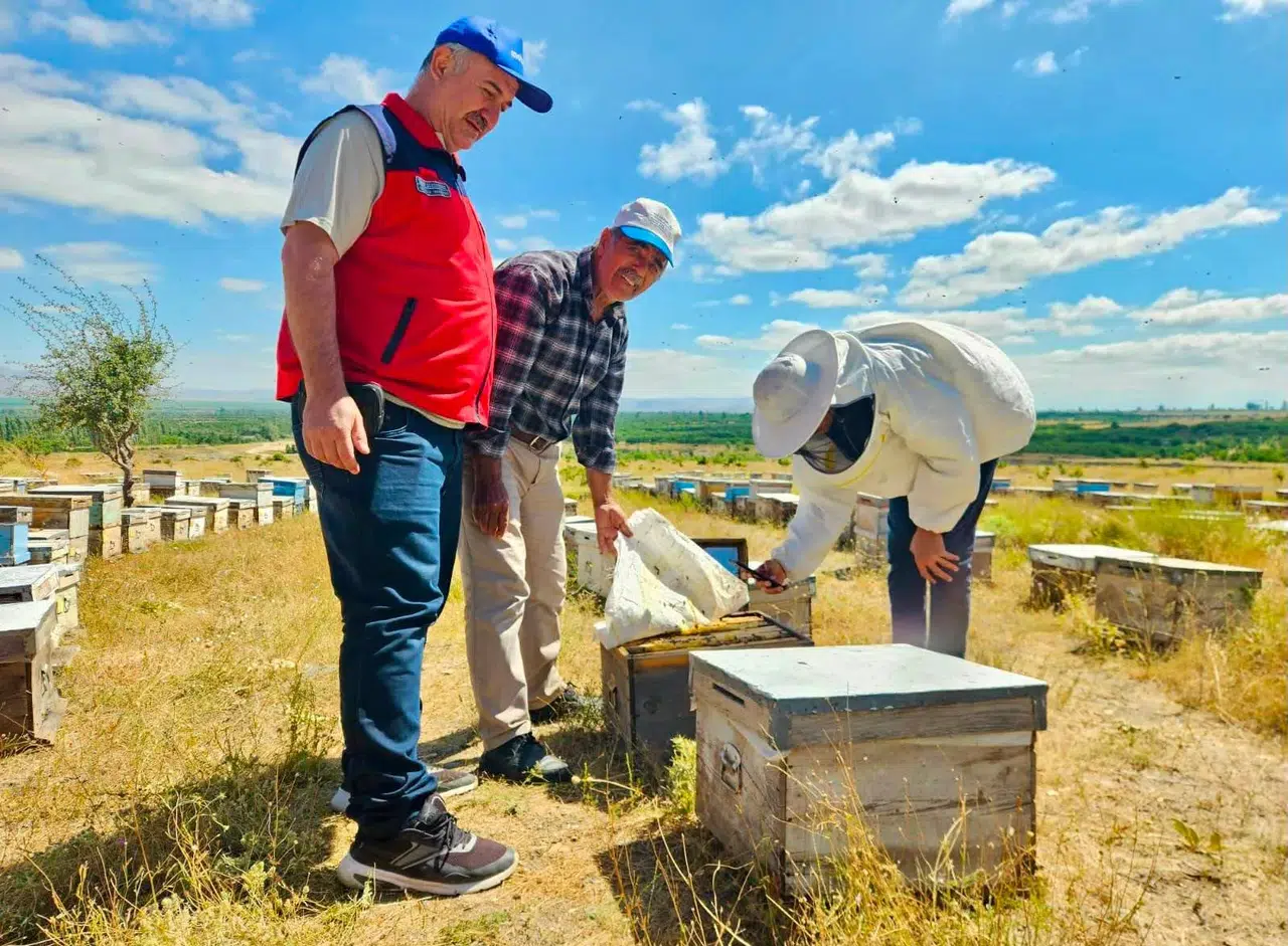 Afyonkarahisar arıcılık sektöründe kritik süreç: Kovanlar tek tek kayıt altına alınıyor