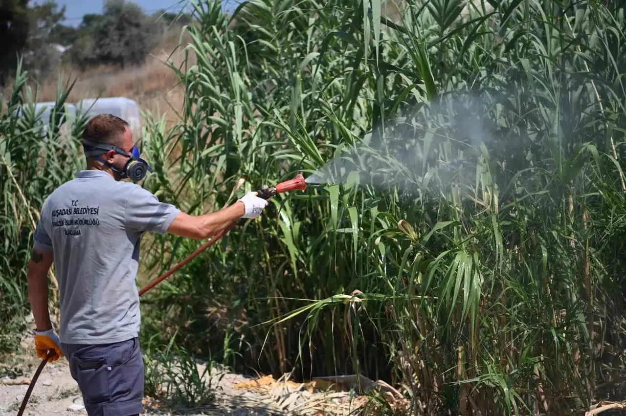 Kuşadası’nda yaz mesaisi: Haşerelere karşı 7/24 koruma kalkanı