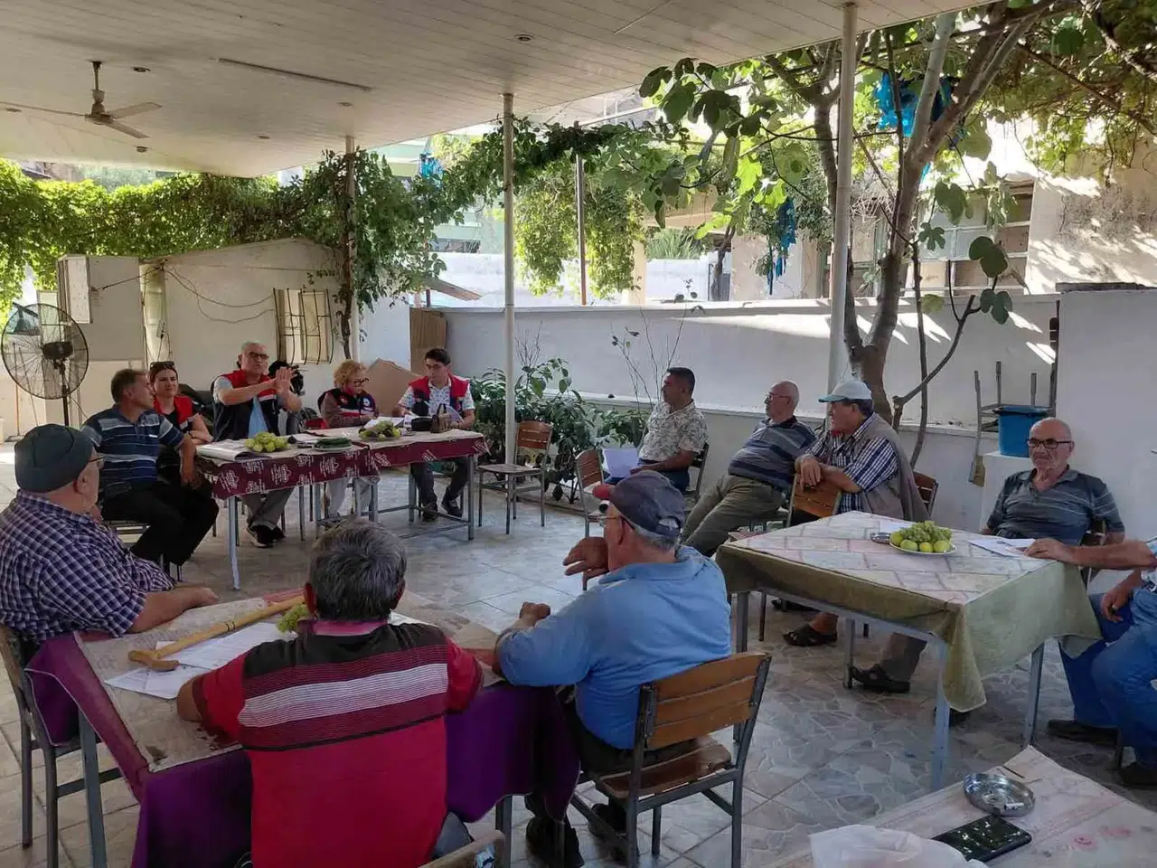 Nazilli incirinde kalite seferberliği: Üreticiye kritik uyarılar yapıldı