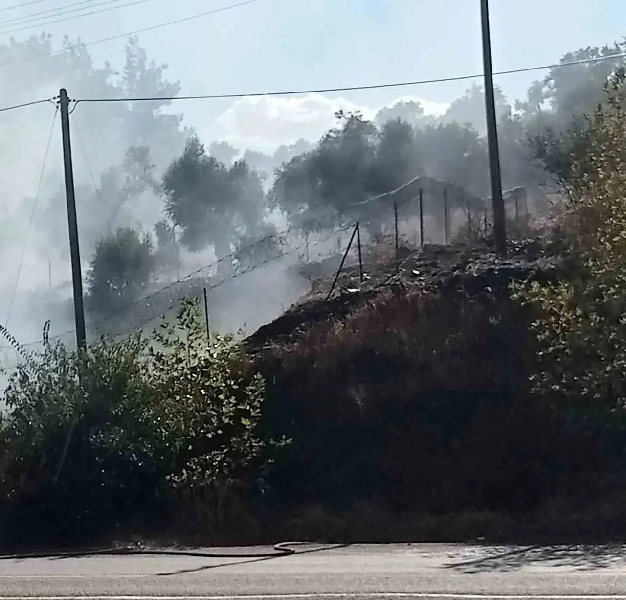 Milas-Söke hattında korkutan yangın: Ekipler alevlere geçit vermedi