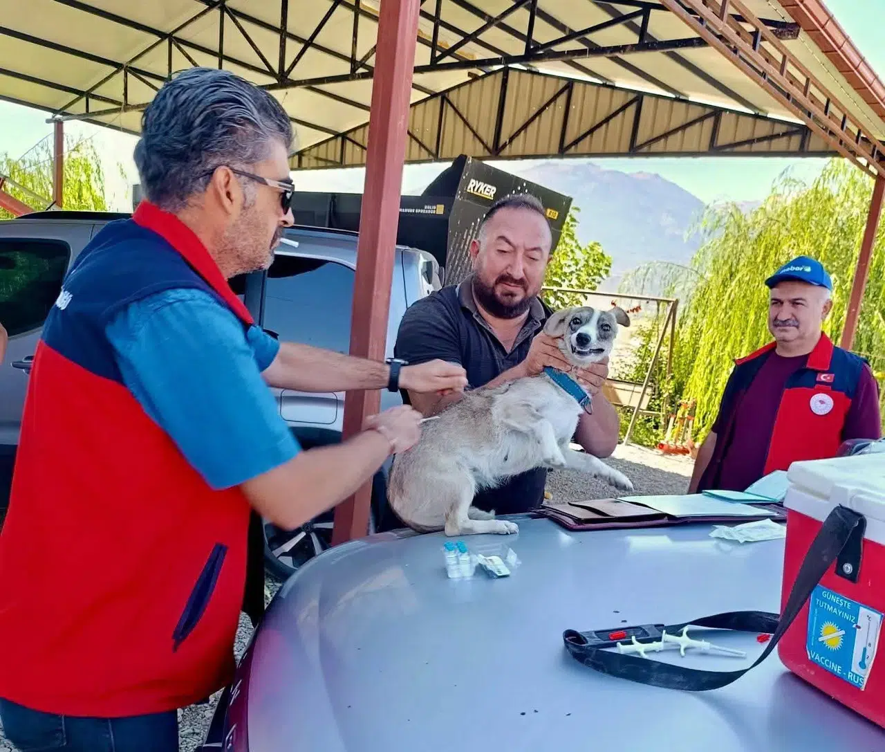 Afyonkarahisar’da sevimli dostlara koruma kalkanı: Kuduz riski için harekete geçildi