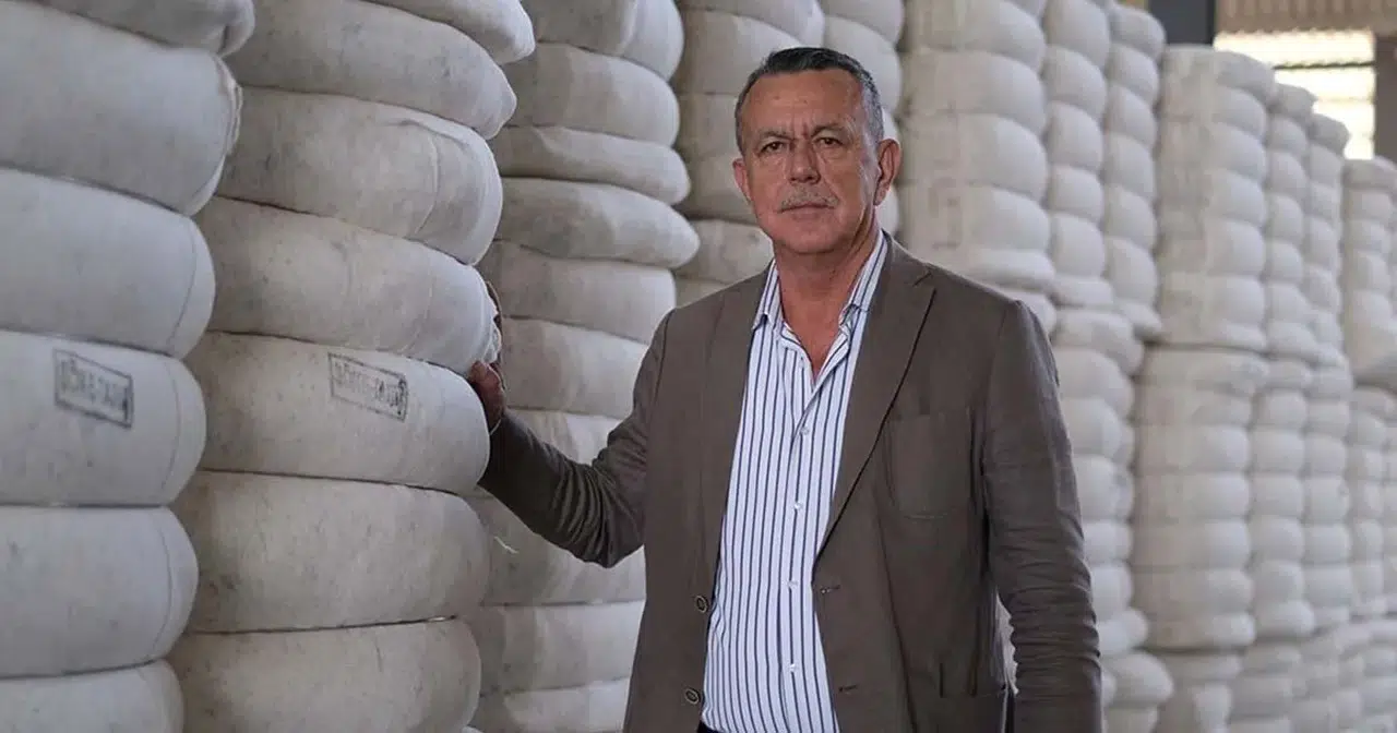 Söke Ovası’nda pamuk üreticisinin yüzü güldü: Yeni sezon fiyatı belli oldu