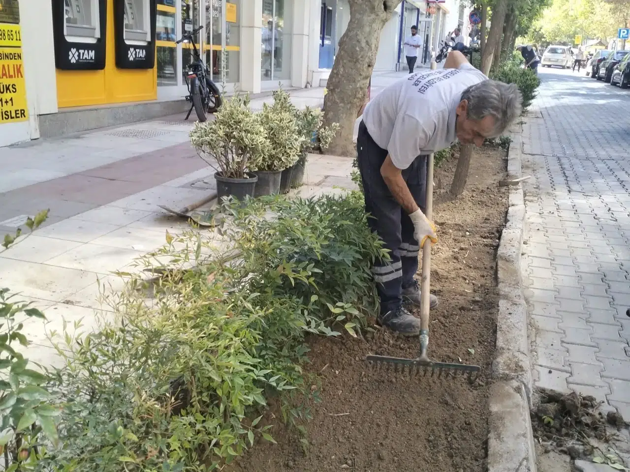 Şehzadeler’de yeşil alanlar dört mevsim yaşayan merkezlere dönüştü
