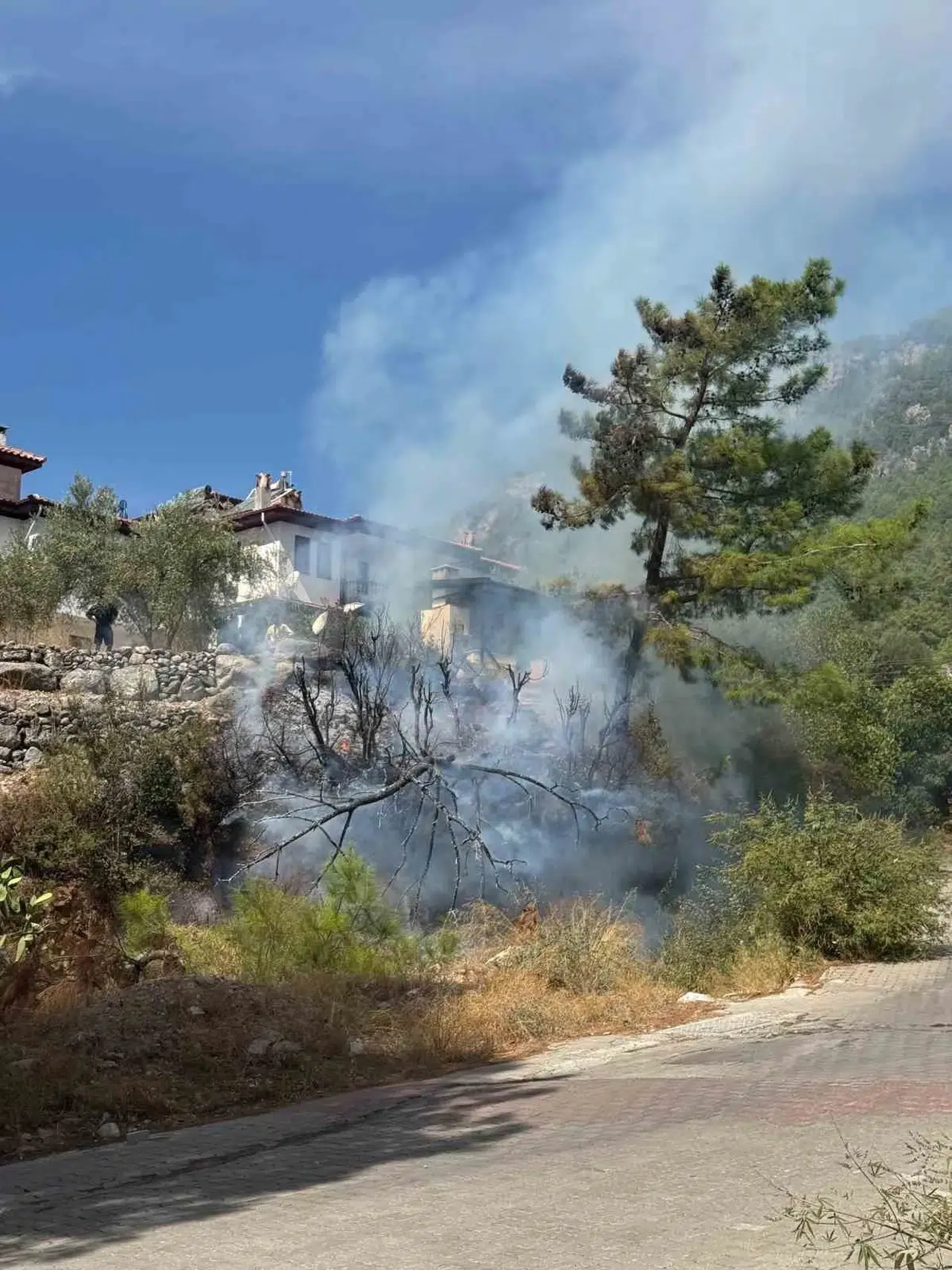 Akyaka’da korkutan yangın: Evlerin yanı başında alevler yükseldi