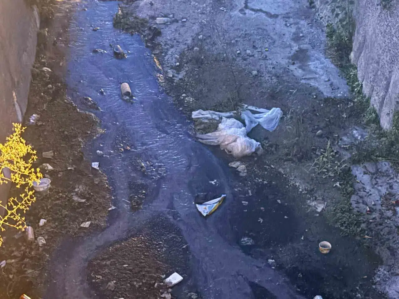 Urla'da dere isyanı: Emekli öğretmenden belediyeye çarpıcı teklif