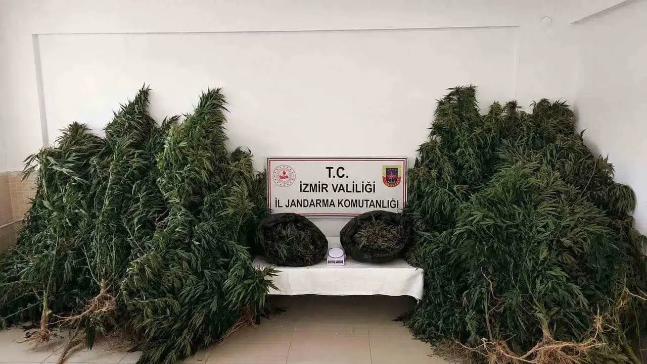 Kiraz kırsalında jandarmadan nokta atışı operasyon: Zehir taciri tutuklandı