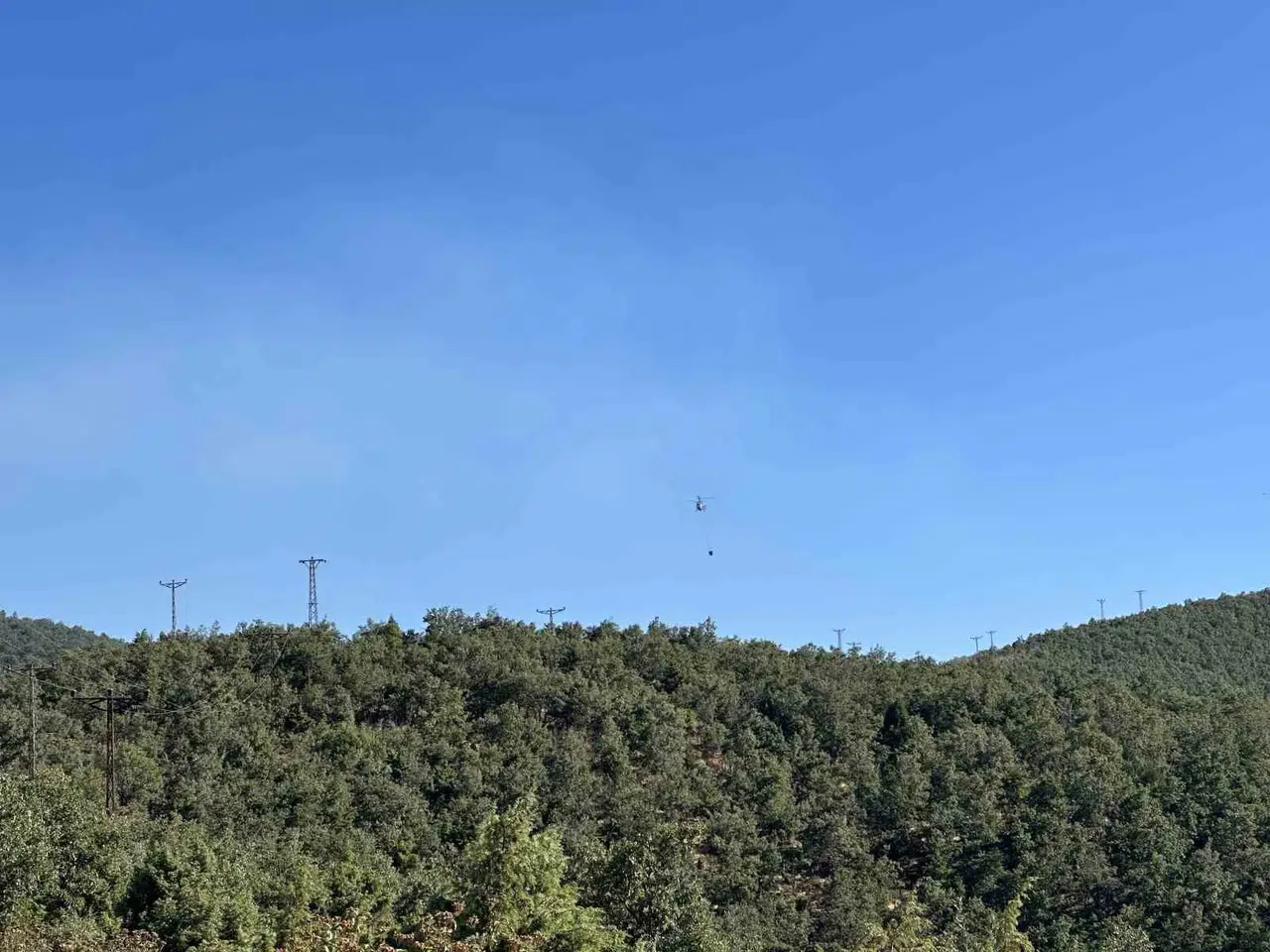 Uşak'ta ormanlık alanda korkutan yangın: Ekipler havadan ve karadan müdahale etti
