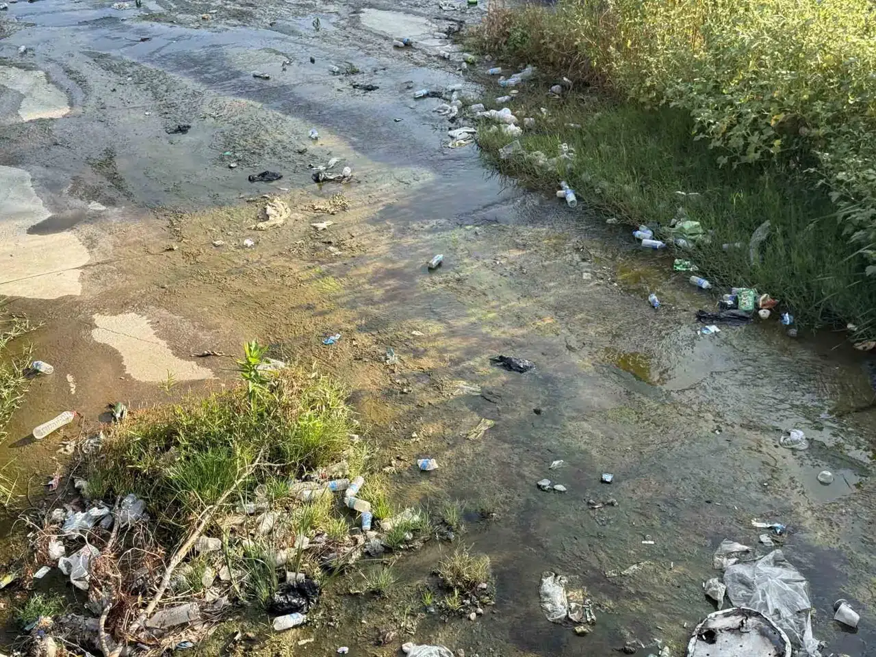 Aydın’ın göbeğinde utandıran manzara: Dere yatağı atıklarla doldu taştı