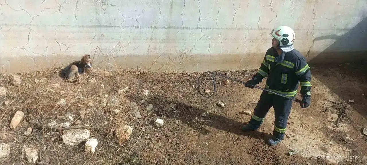 Ölüm çukurunda günlerce yaşam mücadelesi verdi: İtfaiye ekipleri son anda yetişti