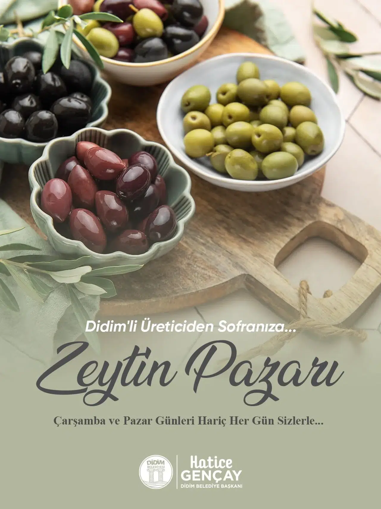 Didim'de zeytin üreticisine yeni kapı: Aracısız satış dönemi başlıyor