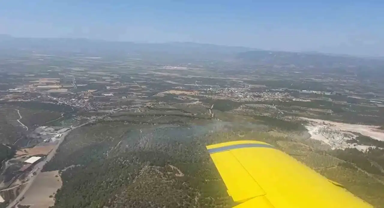 Soma alevlere teslim: Ekipler orman yangınını söndürmek için seferber oldu